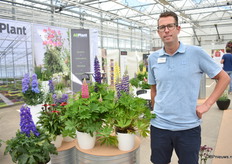 Thon Groenendijk van All Plant bij de nieuwe Lupinova serie.